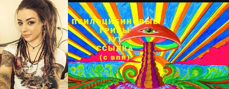 дарнет шоп  Красный Кут  Галлюциногенные грибы Cubensis 