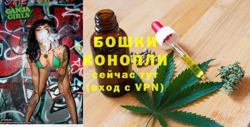 Бошки Шишки THC 21%  купить  цена  Красный Кут 